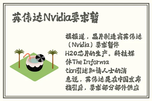 欧美精品午夜一级**免费看